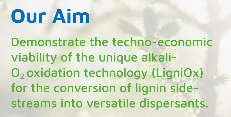 ligniox_eu's tweet photo. LigniOx has been running for 31 month now! Our consortium is actively working to reach all of our aim :
#TechnoEconomicViability #OxidationTechnology #LigniOx #H2020 #europeancommission #sustainableimpact https://t.co/wDepMnvbDJ