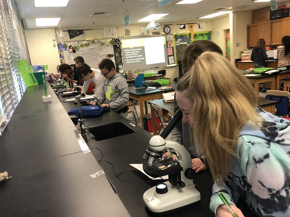 HMS_guardia's tweet image. Investigating unicellular and multicellular organisms by making obervations and inferences! #NGSS #7science
