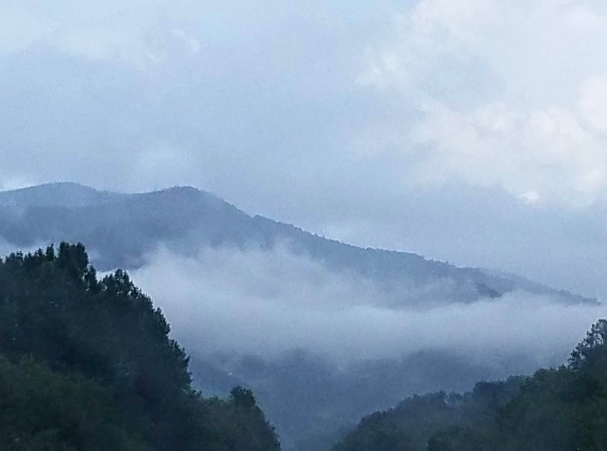 50over55's tweet photo. New post! Great Smokies! One of my favorite places!
https://t.co/65axWGhbwP https://t.co/xA1aJmMFfQ