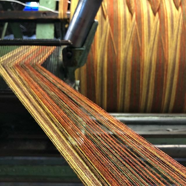 New autumnal design being warped ready to weave soon.
ift.tt/1XIbNS5
mill@islaywoollenmill.co.uk

#newtweed #productofscotland #autumnalcolours #colourcreation #weaving #weaversofinstagram #tweed #islaywoollenmill ift.tt/2QbHsyE