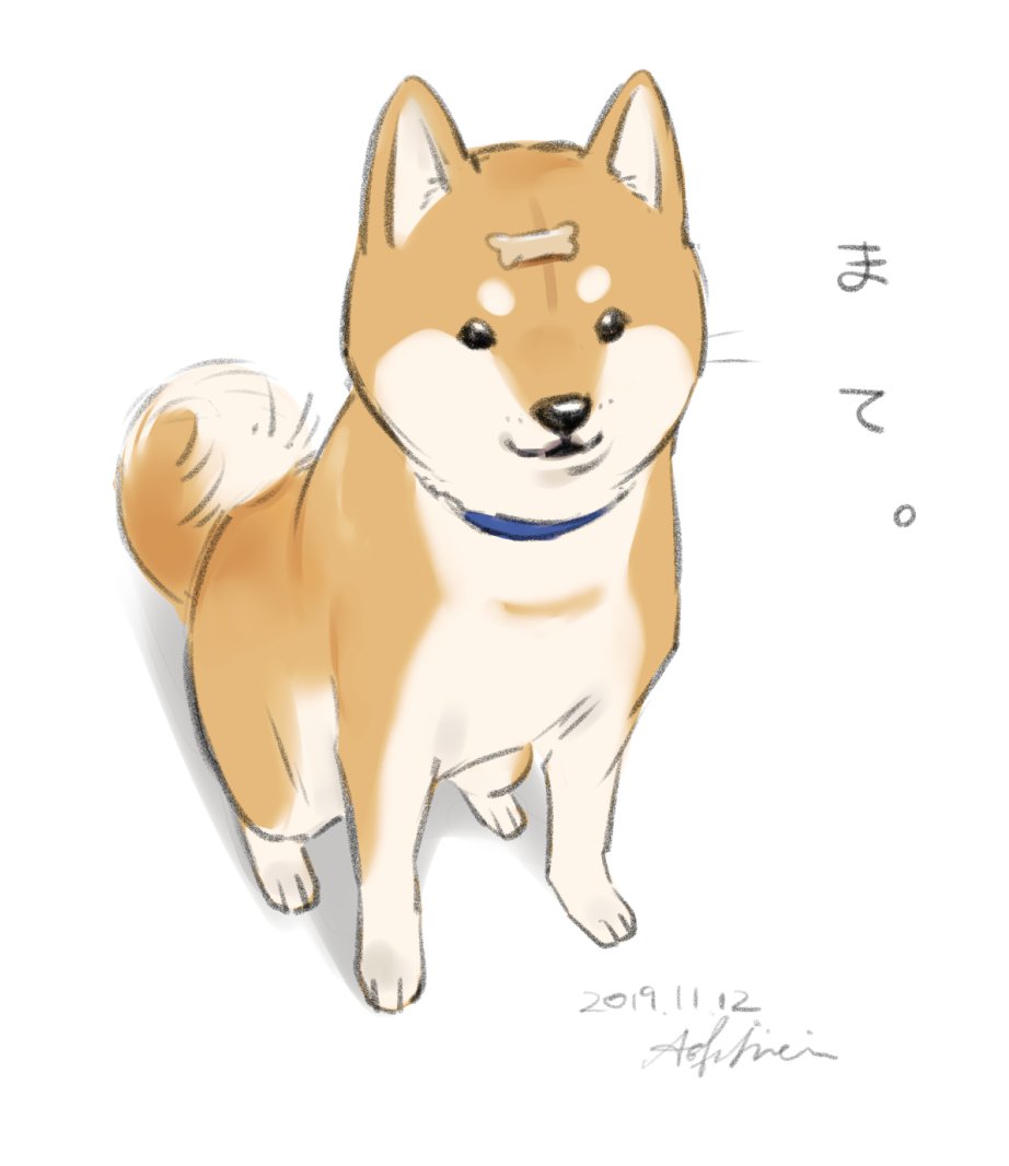 dog shiba inu no humans animal focus white background simple background signature  illustration images