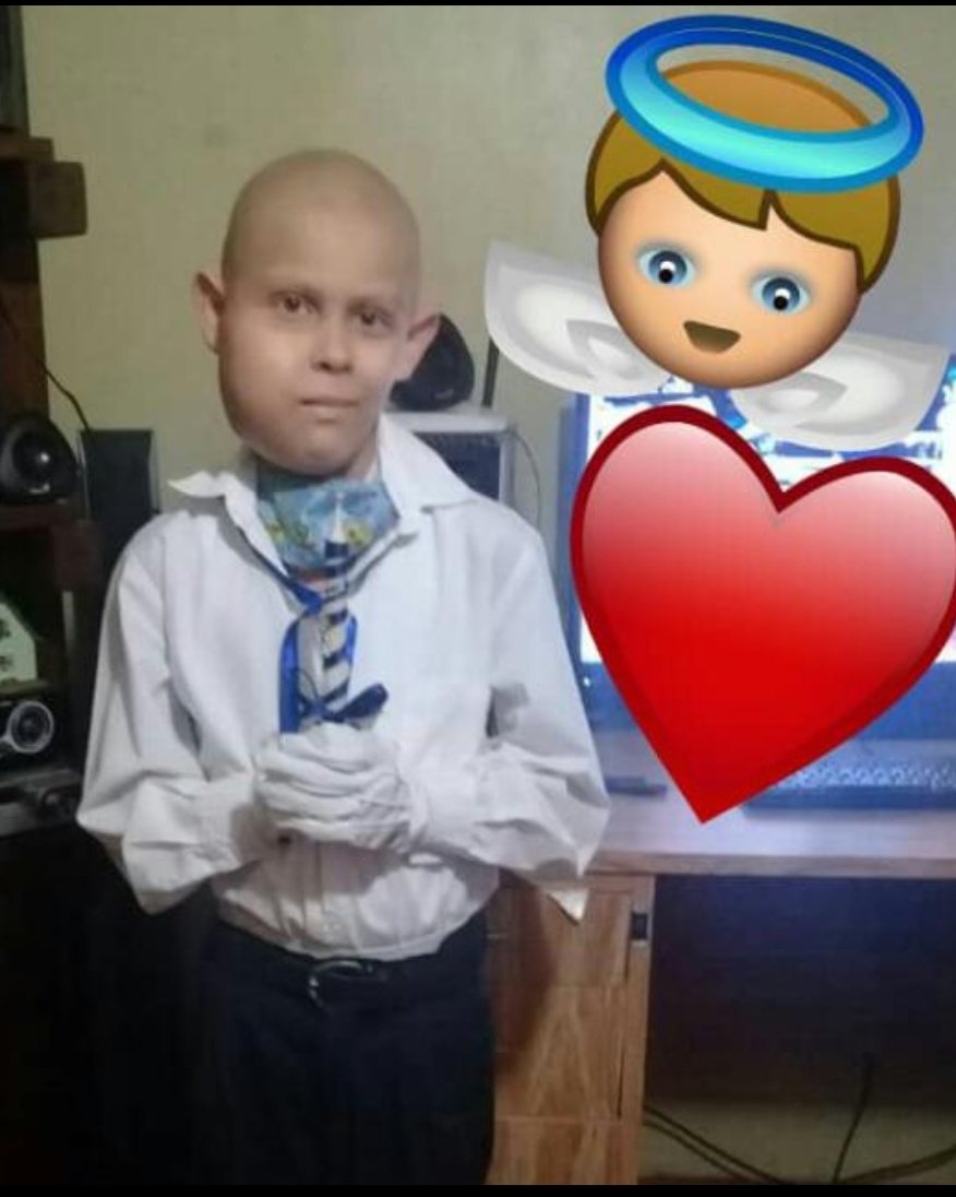 Lisbeth Añez/Mamá Lis tweet media