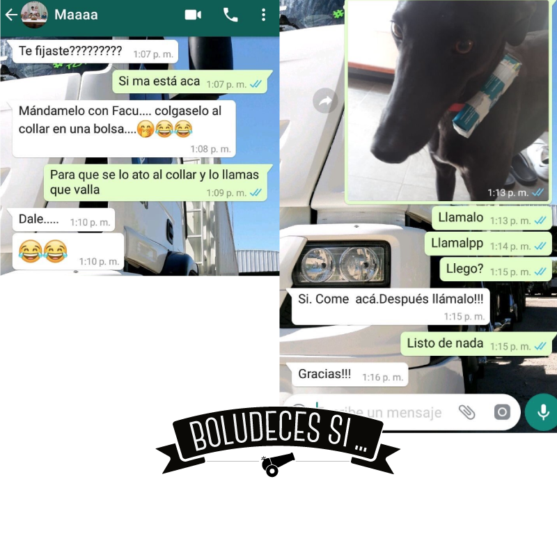 Colaboración: Nina #esclavitud #rappi #glovo #perro #boludeces #si  😂🤣😂🤣