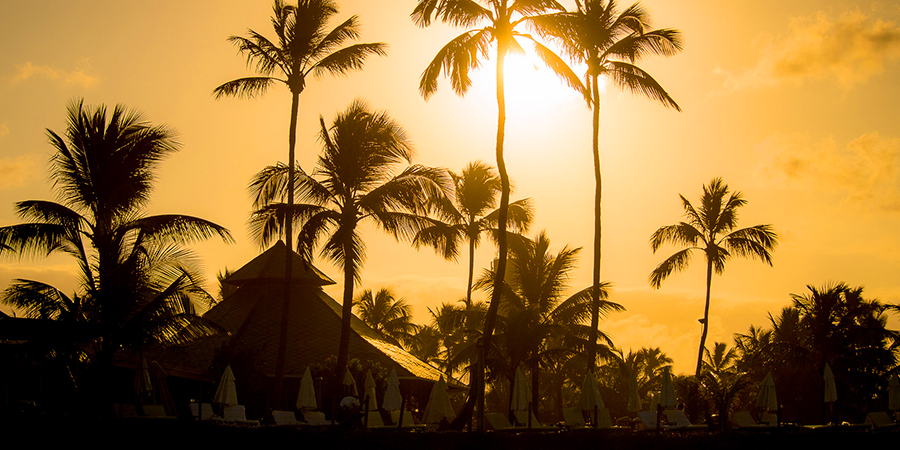 nannai_resort's tweet photo. Quando o dia já começa abençoado pelo sol, boas coisas lhe aguardam! ☀

https://t.co/jpikCnQMsx

#nannai #nannairesort #meumomentonannai #sunsetlov https://t.co/H4JzViby9n