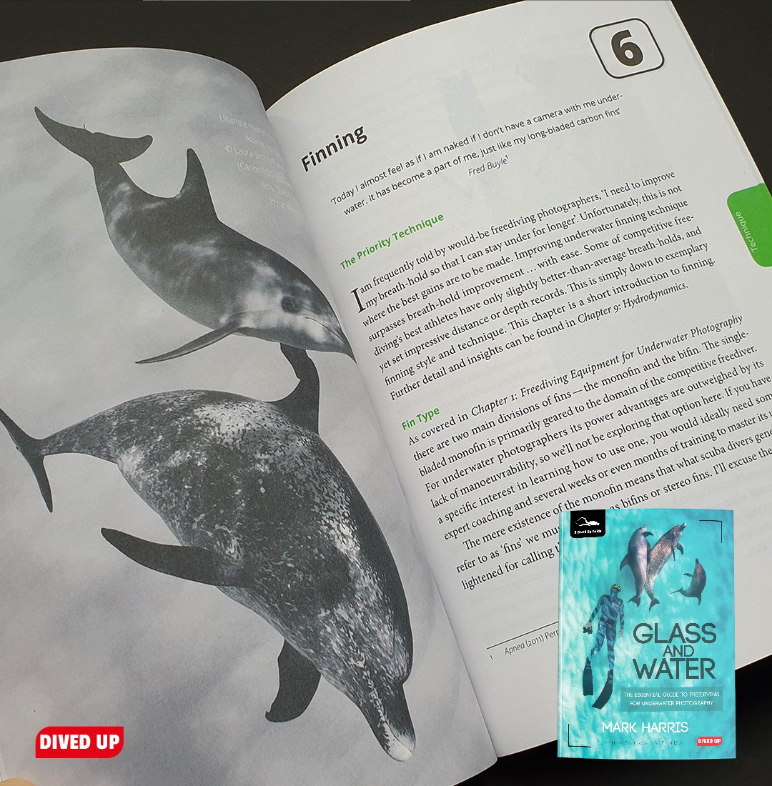 If you hone your technique you can freedive with a camera and get some great shots!  DivedUp.com 
...
#freediving #snorkel #snorkeling #snorkelling #uwphotographer #uwpics #uwphoto #underwaterphotography #underwaterphoto  
#dolphins <a href="/altsaint/">Mark Harris</a>