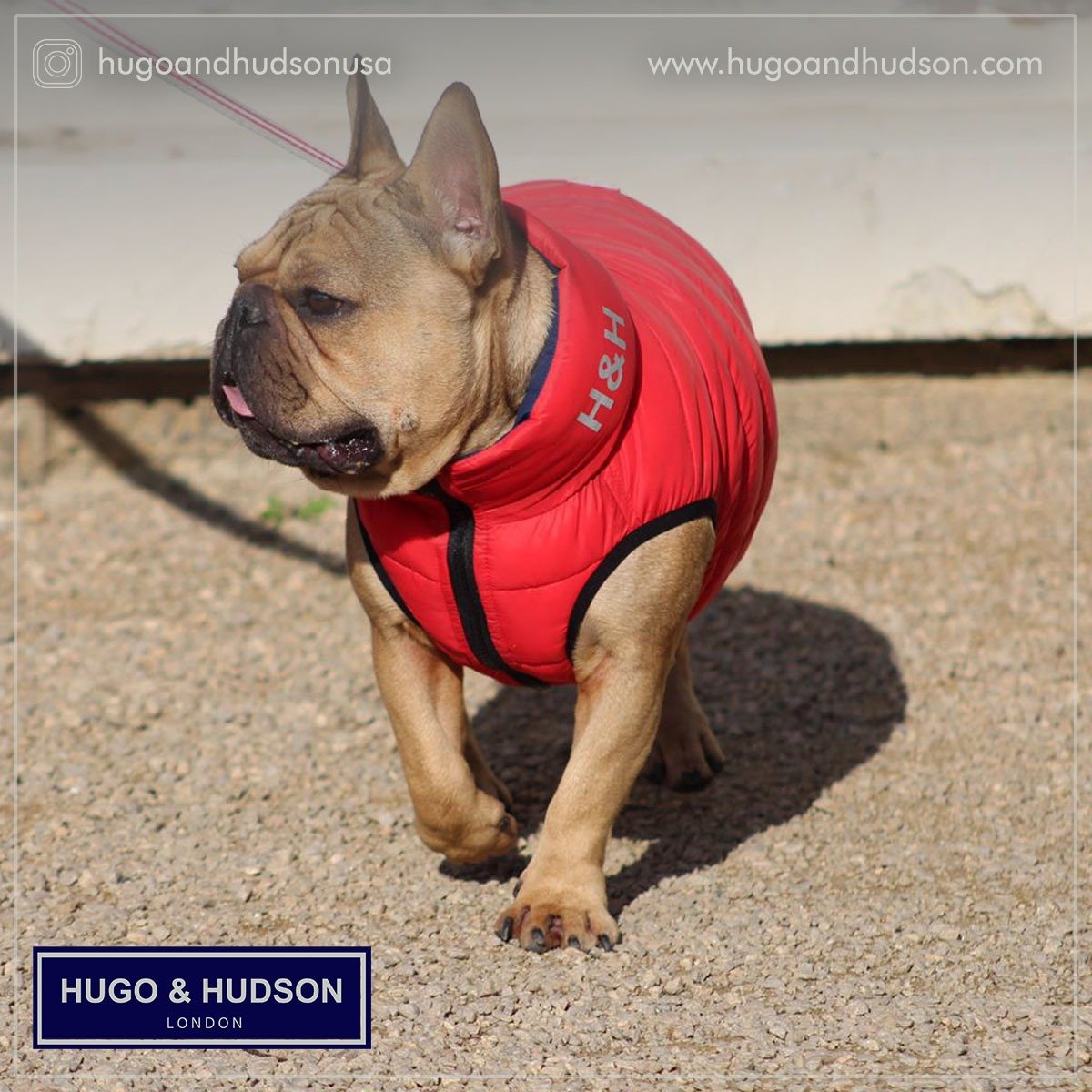 hugo and hudson puffer