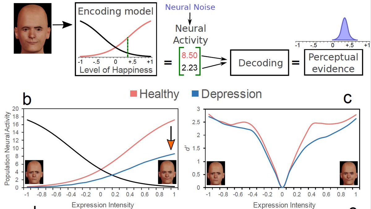 New preprint from our lab in collaboration with <a href="/cgbeevers/">chris beevers</a>: A computational account of the mechanisms underlying face perception biases in depression. Our first contribution to computational psychiatry: psyarxiv.com/9gxmy/