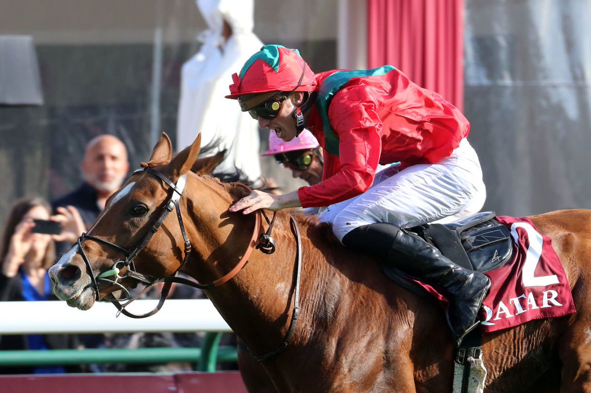 Jour_de_Galop's tweet photo. Officiel ! Héros du Qatar Prix de l'Arc de Triomphe 2019, WALDGEIST (Galileo) intègre @BallylinchStud en 2020. Il officiera à 17.500 €.
📸 @ScoopDyga https://t.co/u57Mbo4yWG
