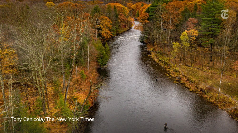 nytimestravel's tweet photo. This can be you: Salmon fishing, only five hours northwest of New York City. https://t.co/3a6pdTKCth https://t.co/M0Zg32g9OT