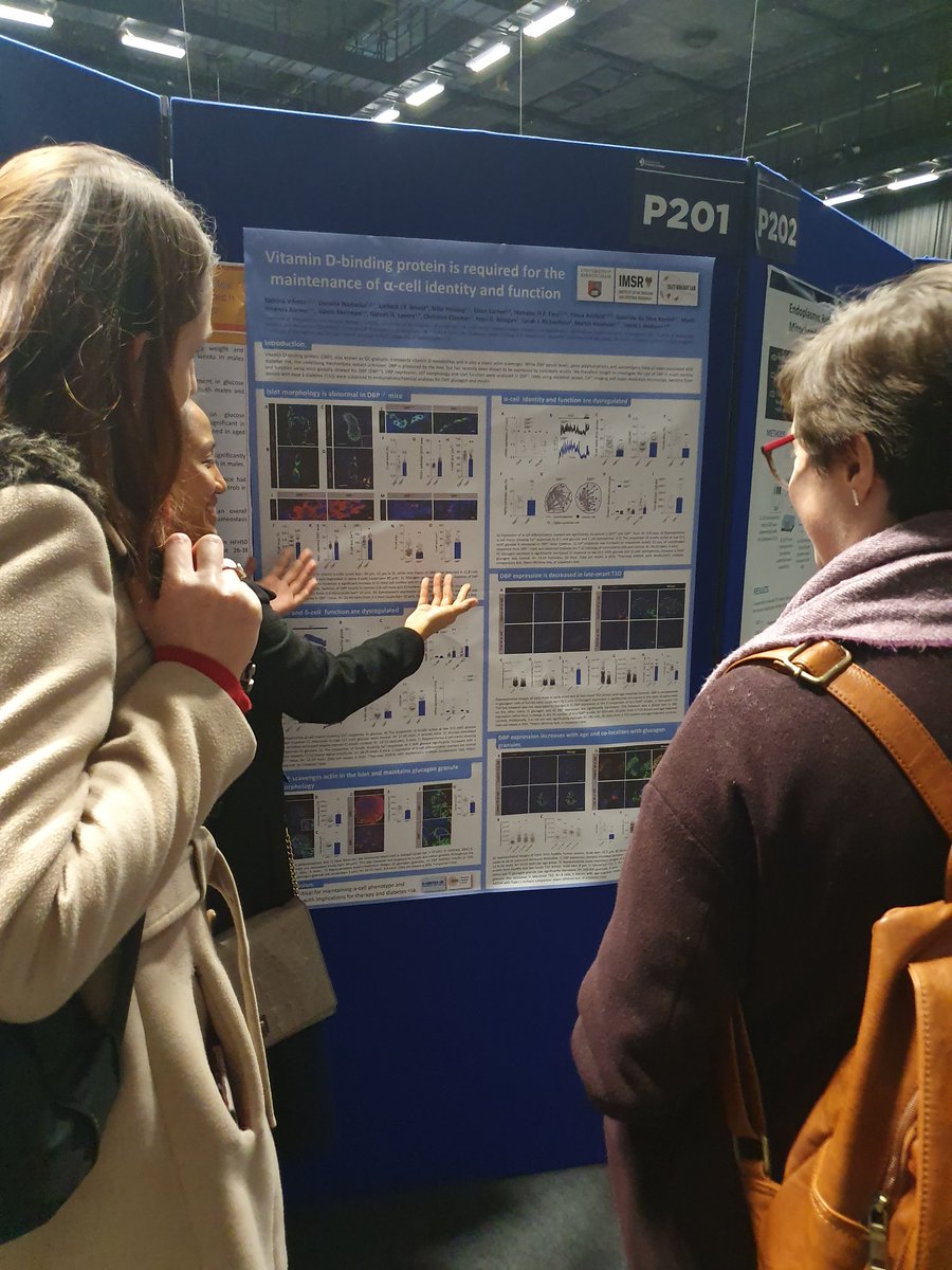 Lots of islet biology interest at <a href="/Soc_Endo/">Society for Endo</a> conference #hodsquad #SfEBES2019