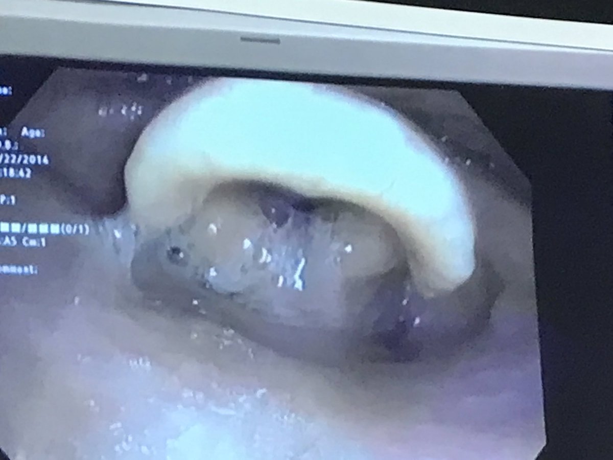 Bridget Beswick tweet media