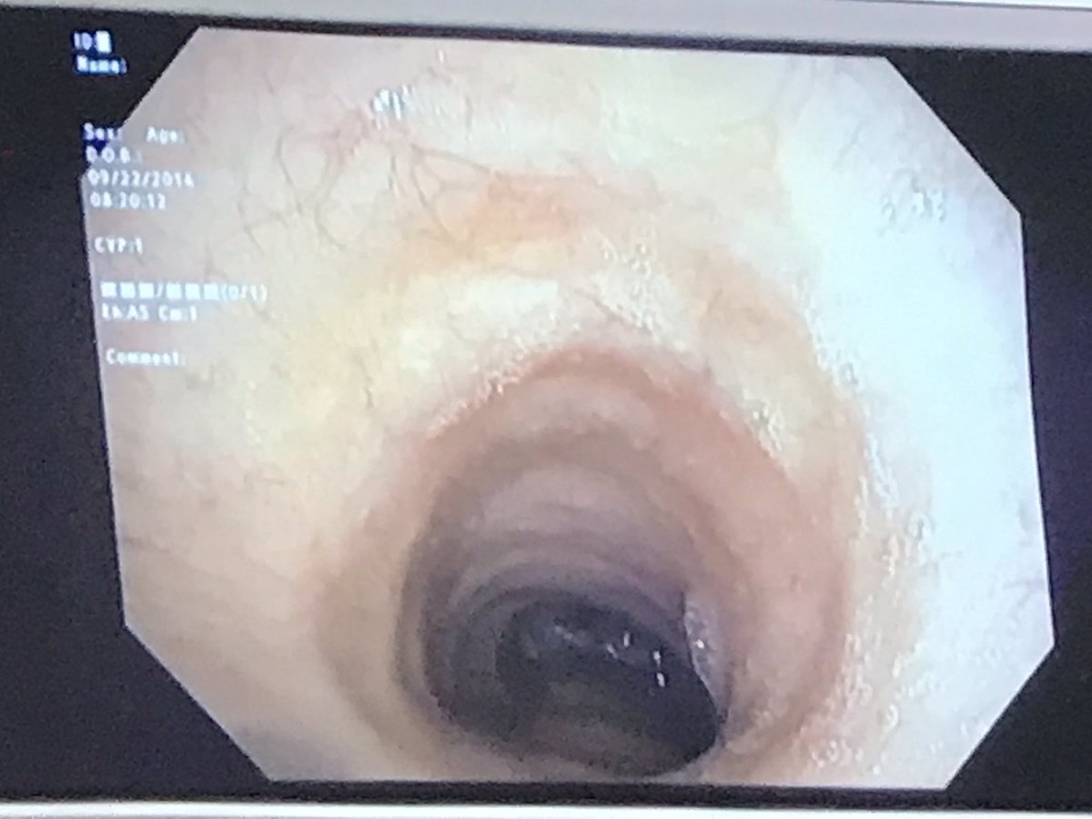 Bridget Beswick tweet media