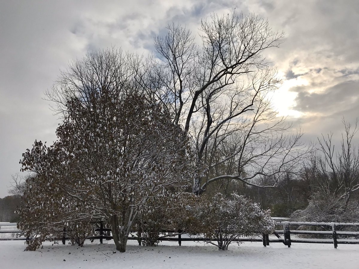 First snow of the season. ❄️