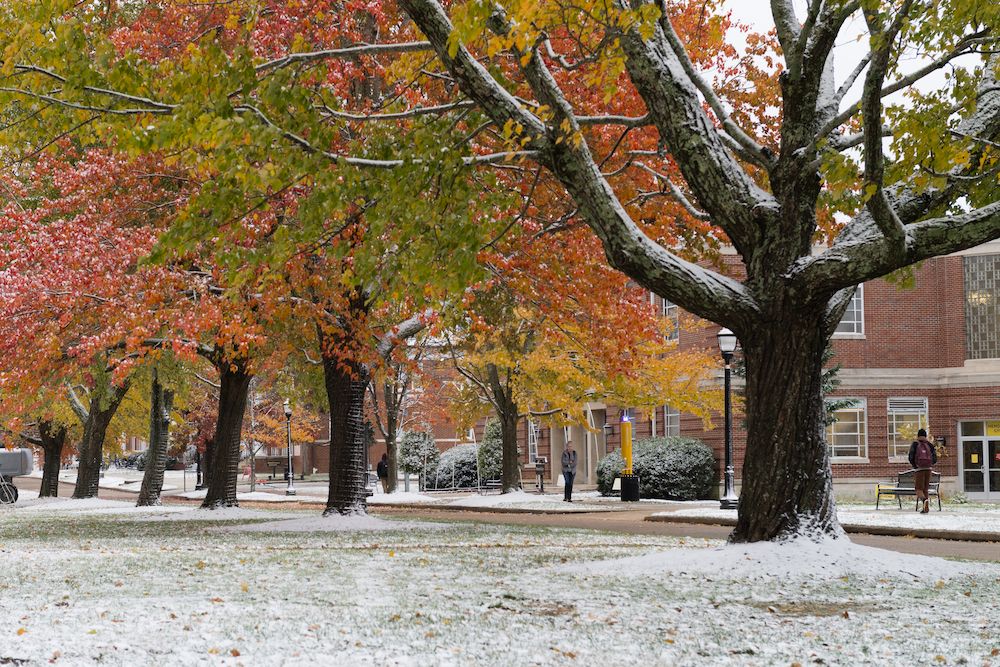 tennesseetech's tweet photo. 🍂 Fall leaves ❄️ meet snowflakes. #TNTechSnow https://t.co/cnQaG2eMuY