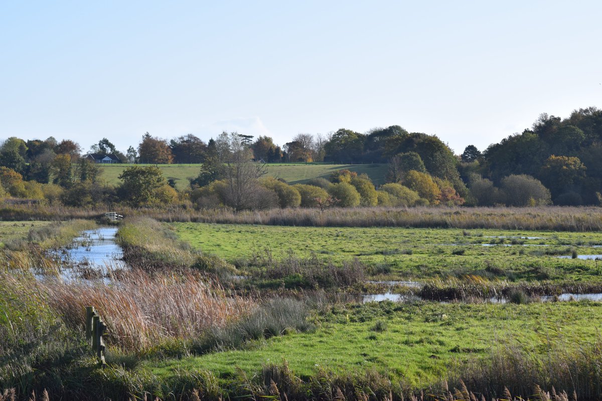 seuneke's tweet photo. More of the marshes at Oulton. Cantley is steaming well. #suffol #oulton #wt @broadsnp https://t.co/nzf5CDC70A