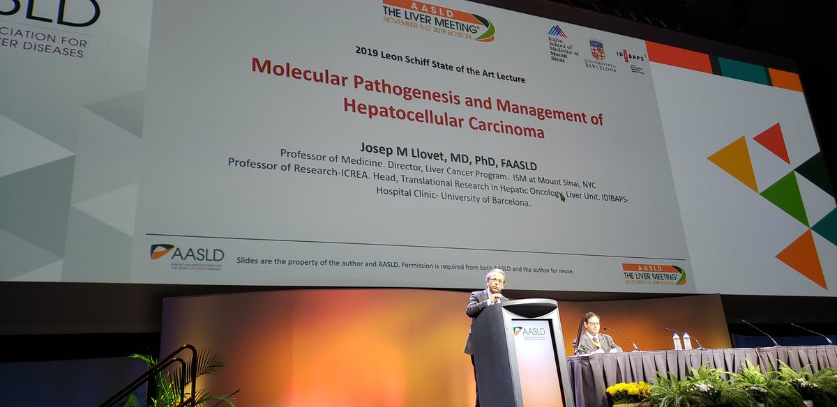 Josep Llovet from @IcahnMountSinai summerizing recent advancements in HCC #LiverMtg19 @MountSinaiLiver