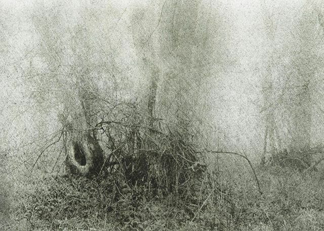 tiinateaspoon's tweet image. Icknield Way 2018-19

Walking along one of the oldest tracks in England, running from East to West, joining up the Peddars Way to the Ridgeway.

#unquietlandscape #bromoil #repetitiveaction #alternativeprocess #icknieldway

35mm Ilford HP5 shot with Pent… ift.tt/2paSDwg