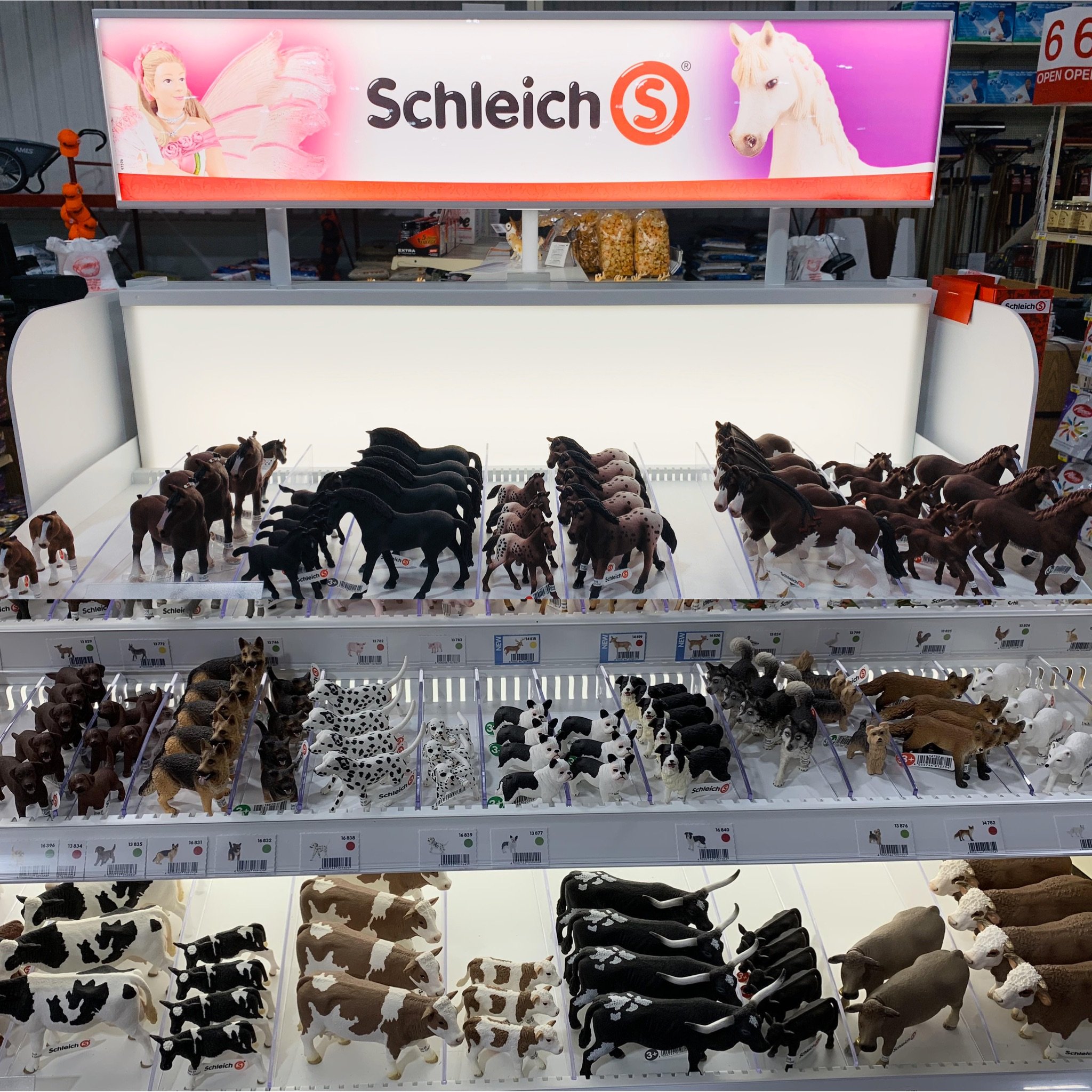 runnings store website