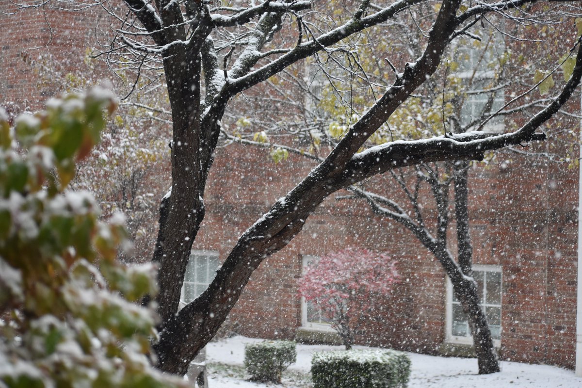 The snow is beautiful here at Reed! What's your favorite thing to do on a snowy day?