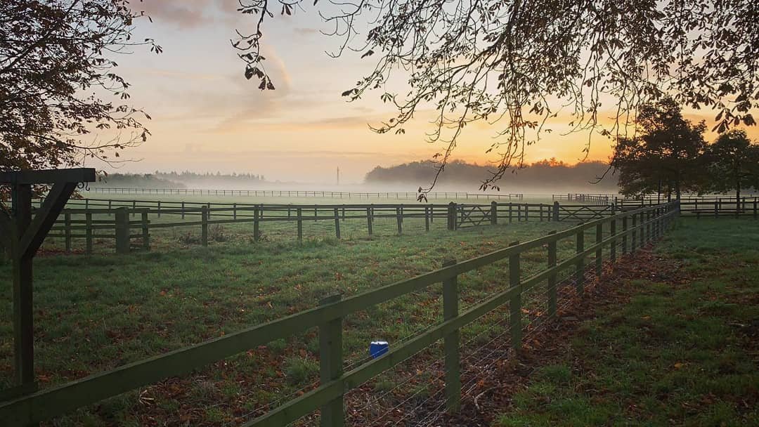 eventdesign[dot]co tweet media