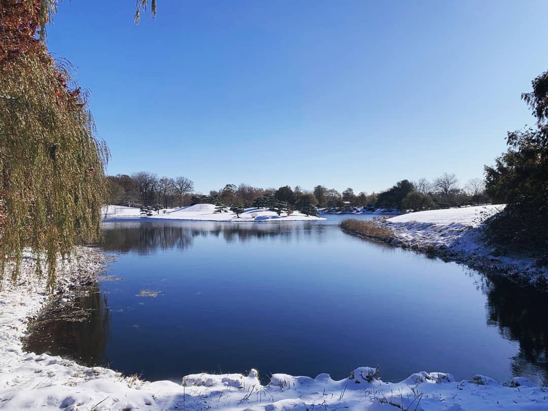 eventdesign[dot]co tweet media