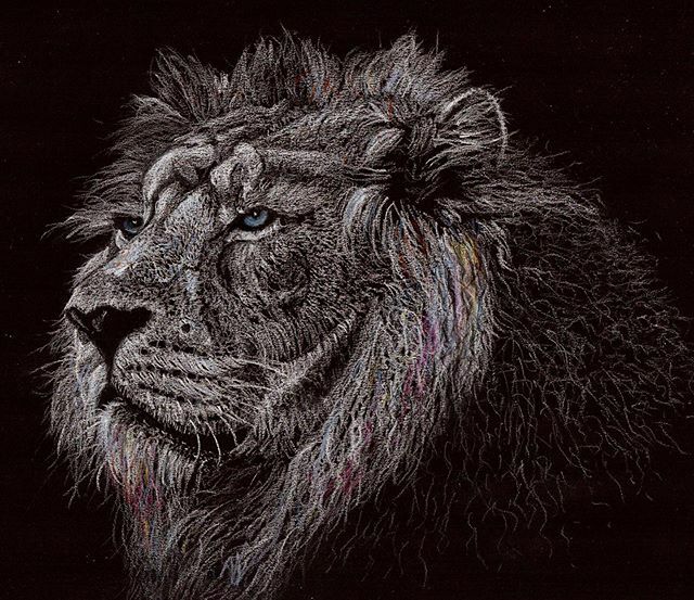 ArtistAnde's tweet photo. Pencil crayon drawing of lion by @andeartworks 
#liondrawing #pencildrawing #pencilcrayon #drawing #art #wildlifeart #sketch #lion #bigcat #wildlife https://t.co/KqLI4Q9ZPv https://t.co/MKGXRWlmXN
