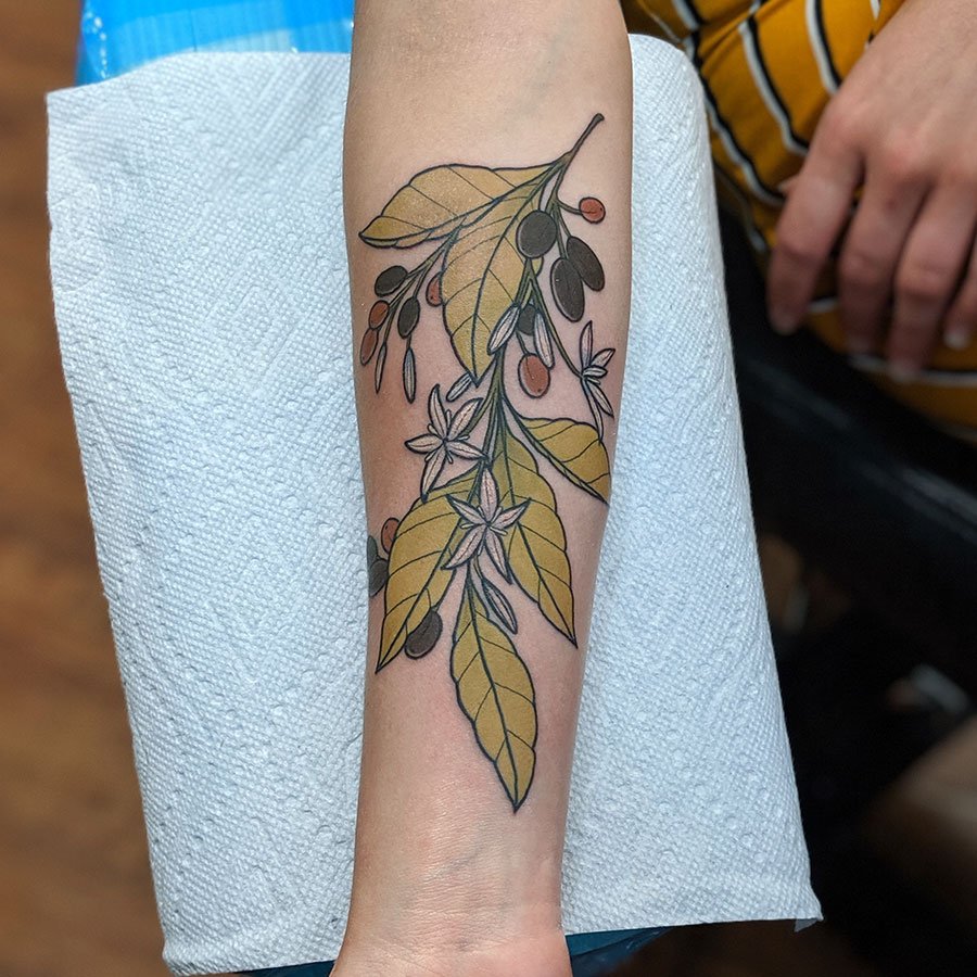 Coffee Bean Plant Tattoo