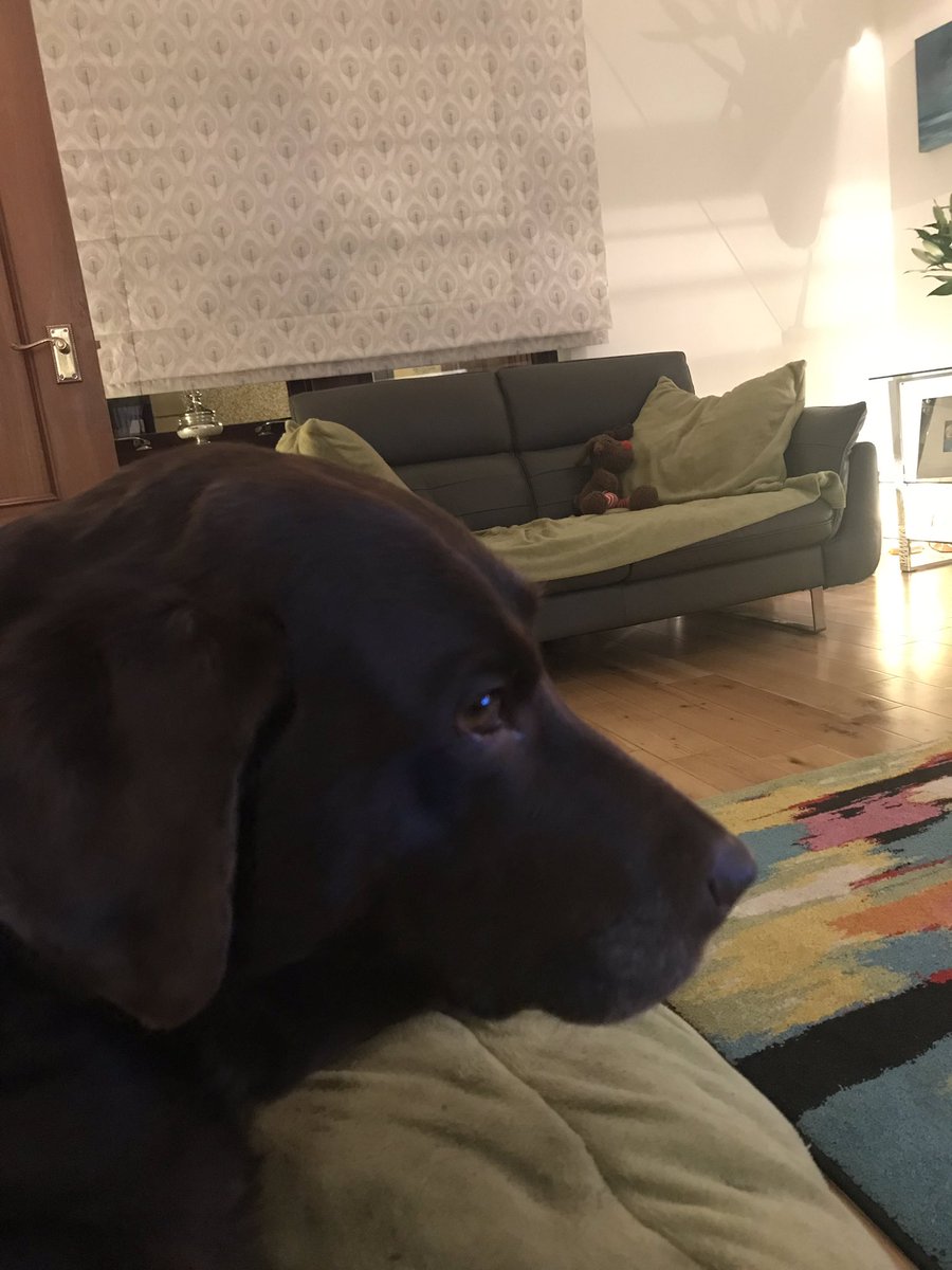 connolly_kira's tweet photo. Mums watching tennis and shopping on line at the same time #multitasking #wishitwasAndy #christmasgifts #biscuitsplease #cmondomthiem but only because our fave @andy_murray isn’t playing https://t.co/850fh5VB9p