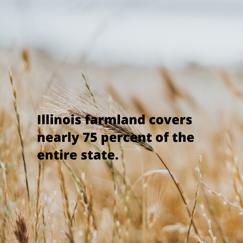 EricSavage24's tweet photo. Have you ever wondered how Illinois is a lead producing state for many different crops? Part of it is because we have high producing soils but another factor is we are lucky how much farmland is available. @WIUAg #WIUAgLife https://t.co/y1WvJkBFxc