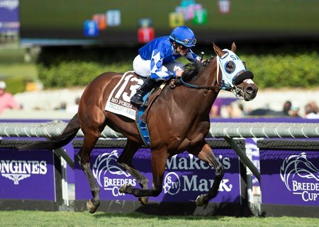 Lesley Campion tweet media