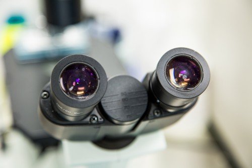 Cytovance knows that advanced facilities and production processes can themselves only be truly optimized by proactive Program Management focused on quality production in the shortest time possible. hubs.ly/H0lzG3L0