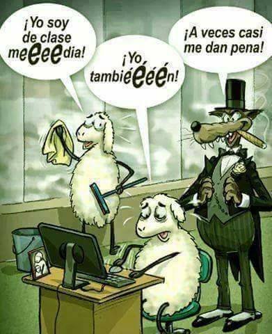 Lorylagatuna's tweet photo. @ladealli Cuando se pase la moda de V💩x y queden al nivel de #Falangito, vuelven al PP como borregos https://t.co/0ZQDF36fsw