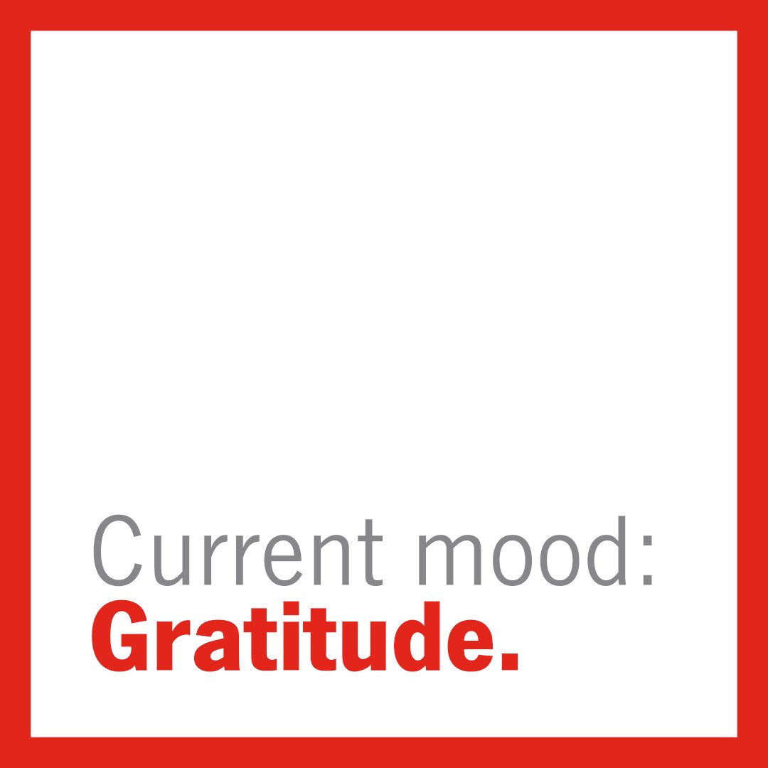 ElisaHagerSF's tweet photo. Who's in the mood for a gratitude challenge during the holidays? Write down or post something you're grateful for every day through the end of the year. You can start now in the comments! #Motivation https://t.co/osiDgCgnmo