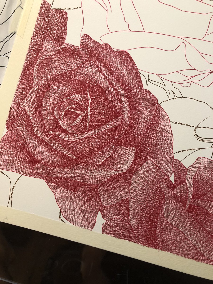 「だいぶ復活したので描きかけの絵を少し進める。カケアミで描いた薔薇。 」|きたがわ翔のイラスト