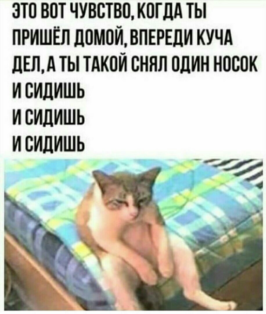 so_mad_so_funny's tweet photo. https://t.co/a2SKm5qodX