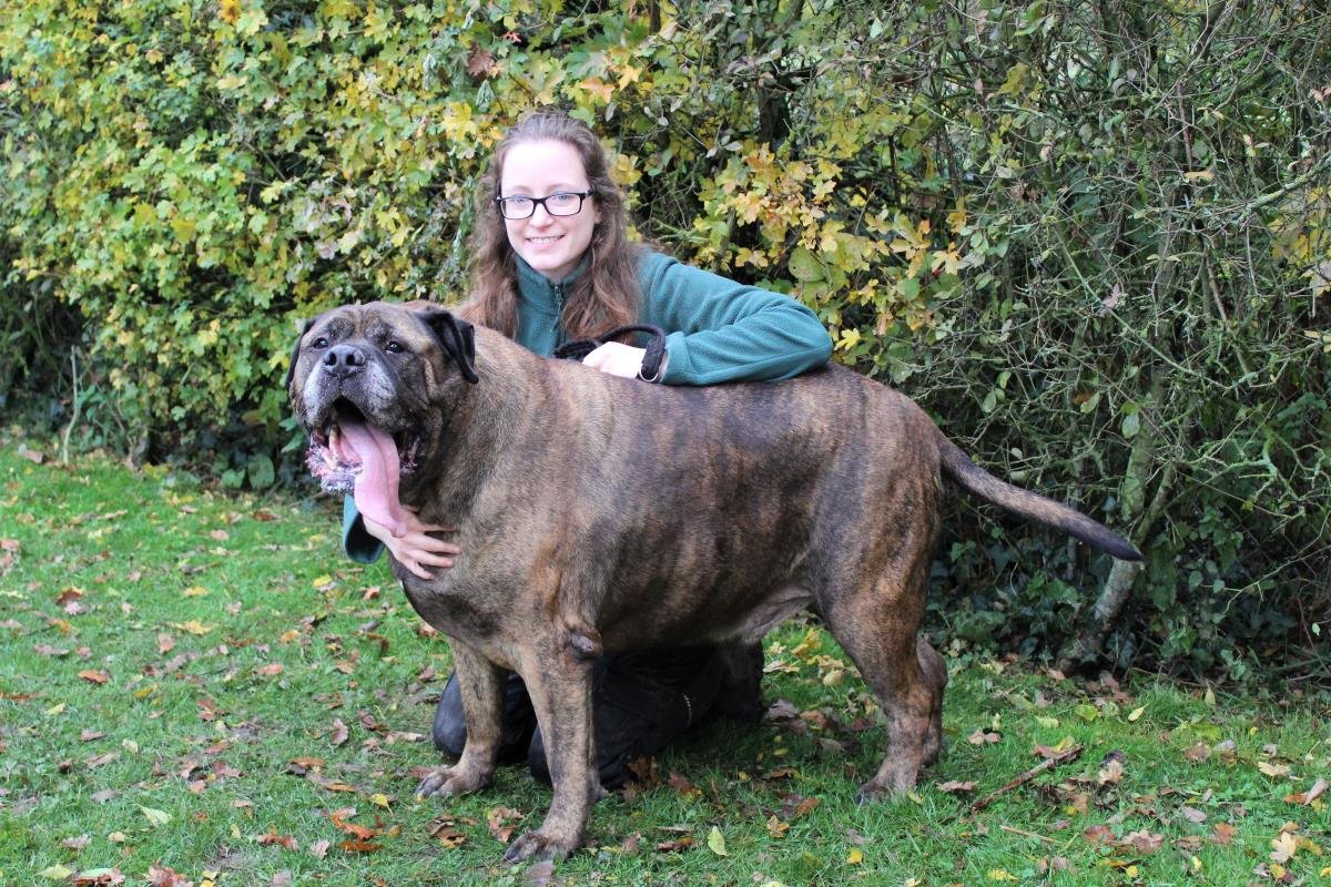 Dogs Trust 💛🐶 tweet media