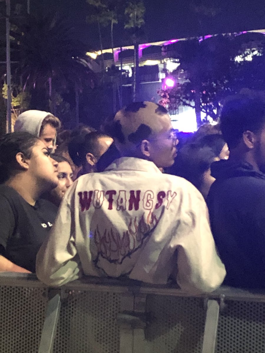 lastluvronearth's tweet photo. if anyone knows who this is, they were playing their switch before solanges set. pls let them know that i’m inviting them to a duel so i can WHOOP their ASS https://t.co/FYntpGqnHC
