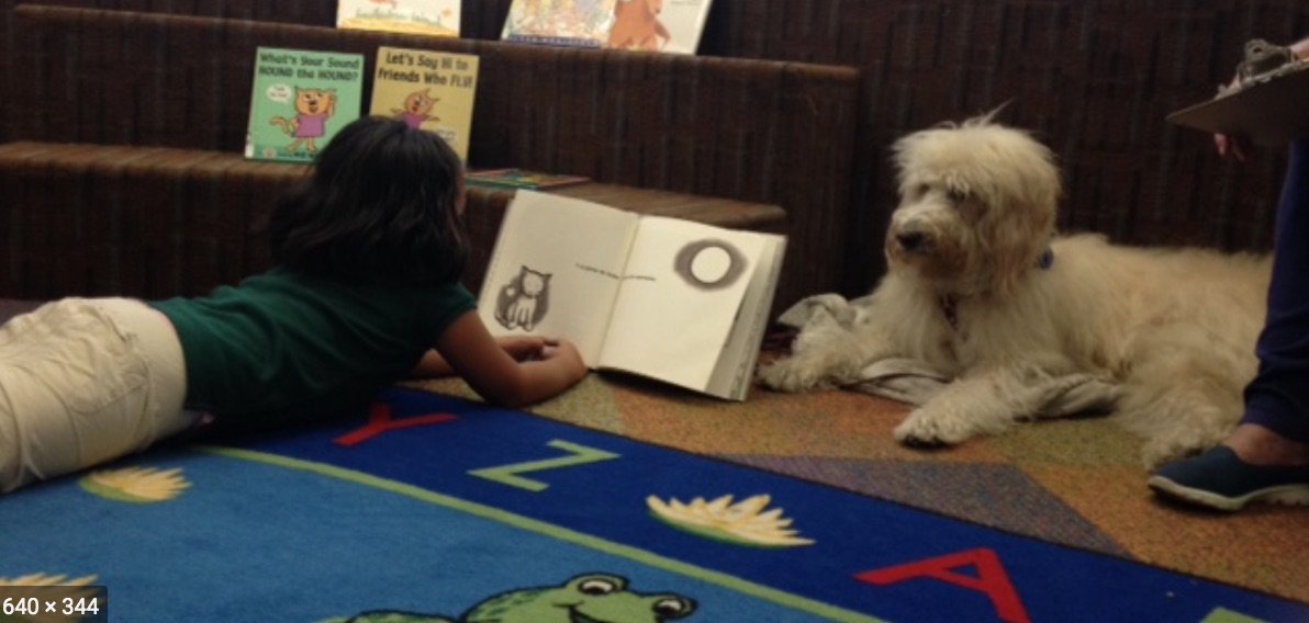 InPlayKids's tweet photo. Calling all 1st - 3rd graders! Practice your reading skills [aloud] by sharing your favorite stories with a furry friend named Scout. 

Join us on Thursdays from 3:30-4:30pm at the Rockridge branch of the Oakland Library (@Oaklibrary). Details: https://t.co/sfxWllXVX1 https://t.co/J9Sb70onkj