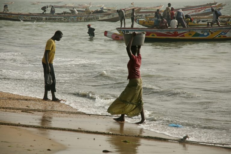 NAP_Network's tweet photo. The Gambian government is hosting a Training of Trainers (ToT) this week on Gender and Climate Adaptation in Sub-Regional and Community Planning.

Find out more: https://t.co/sKdfoxOi4P https://t.co/l6jn1yMbU9