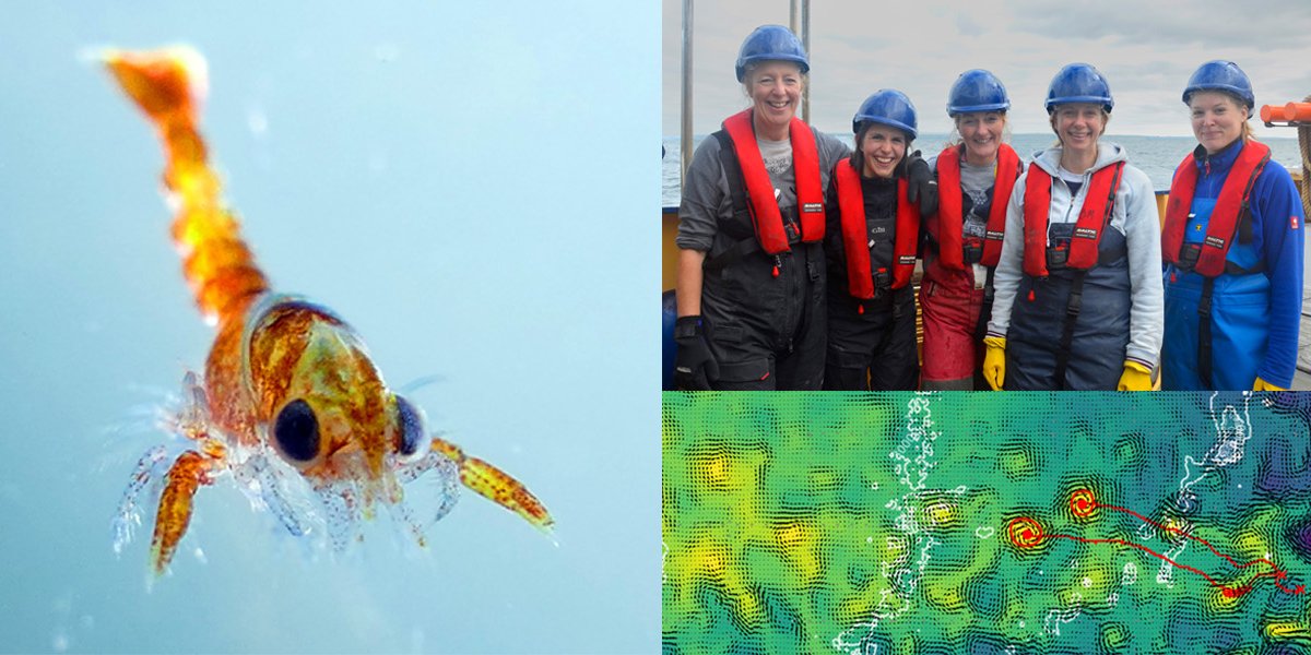 PlymouthMarine's tweet image. Don't forget to sign up for our #PhD #OpenDay on the 25th November! You'll meet PML PhD supervisors, chat to current students and tour PML's building and facilities - find out more here  bit.ly/2KghtlG

#PhDChat #PhDLife #EarlyCareerResearch #AcademicChatter