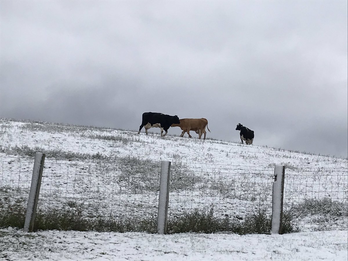 timrobotics's tweet image. 2019#Snow KN