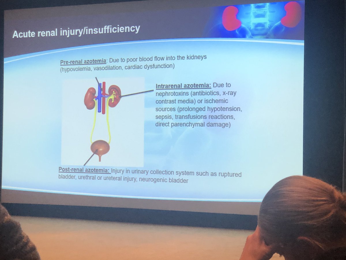 girlphoenix_'s tweet image. #TCRNreview #solheim