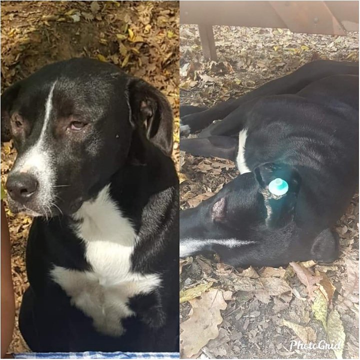 ÇOK ACİL ORMANA ATILMIŞ CİLT PROBLEMİ OLAN PIRIL PIRIL BU EVLADA EVİNİ BAHÇESİNİ AÇACAK GÜZEL YÜREKLİ BİR MELEK ARIYORUZ.🙇
İSTANBUL
İLETİŞİM:0553 649 7942/Yelda Kılıç