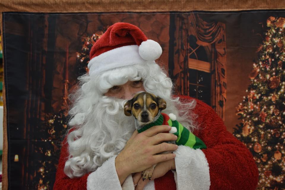 PAWS Ohio tweet media