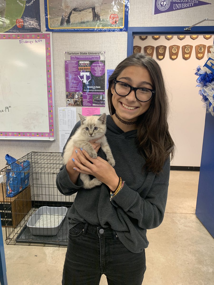 FfaRobinson's tweet photo. Say goodbye to Pearl! She is headed to her forever home! @risdHS #robinsoncte #robinsonisd https://t.co/CCK92ujalc