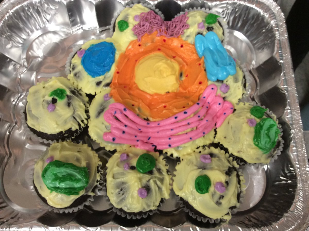 MrsBogertWYO's tweet photo. Some post-lab student-made edible cell models: plant, animal, and bacterial #nom #biology @WyoAreaSD https://t.co/viVzGcWB9z