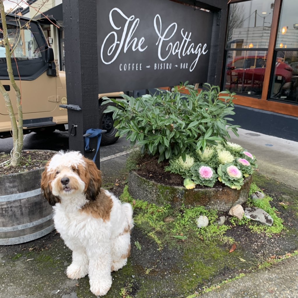 CottageBothell's tweet photo. When you’re done playing at #BothellPopupDogPark, visit our Doggy Docking Station!
#letsplaybothell #bothellparksandrec #nrpa #wrpa #bothellparks #bothellcommunity #explorebothell #beginatbothell #bothellmoms #bothelldogs #dogsofbothell #bothell #bothellwa #woodinville #kenmore https://t.co/OWYHeFe8MK