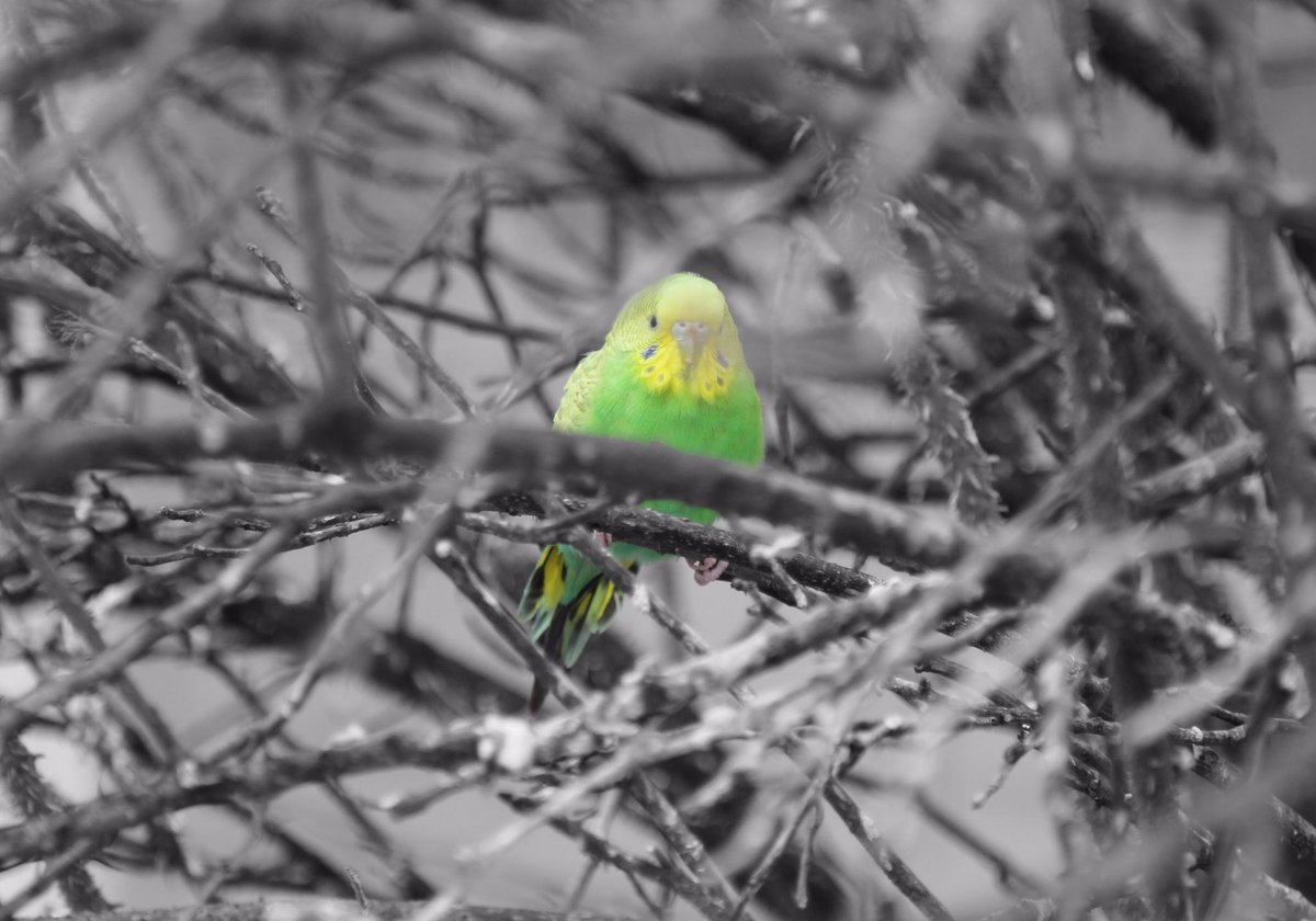 It's essential to develop a strong trust and connectivity between all the adults at school and the children. The adults should help with education and emotional needs.

Tara Elie, Pivotal Education trainer 

@PivotalEd

#VOIdrivetime