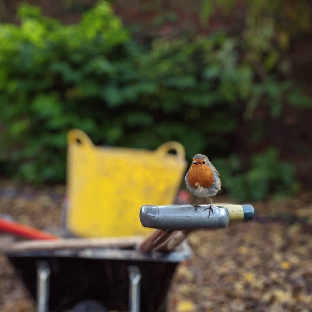 Saltmarshe Hall tweet media