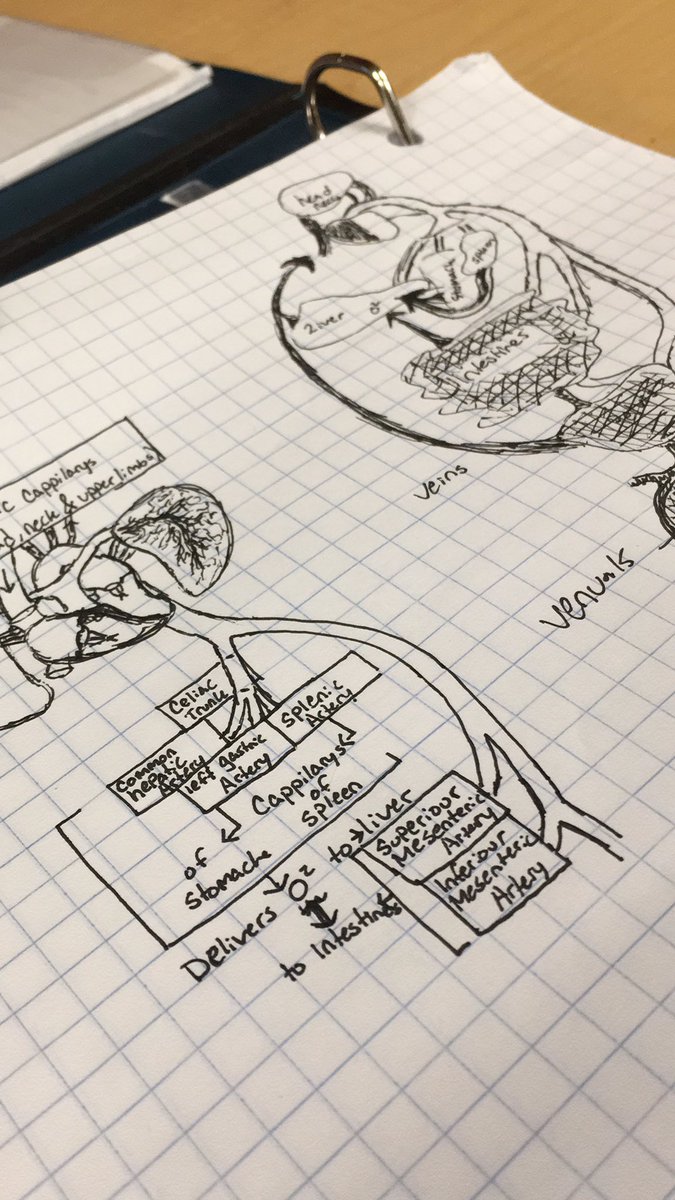 Chloe Cook tweet media